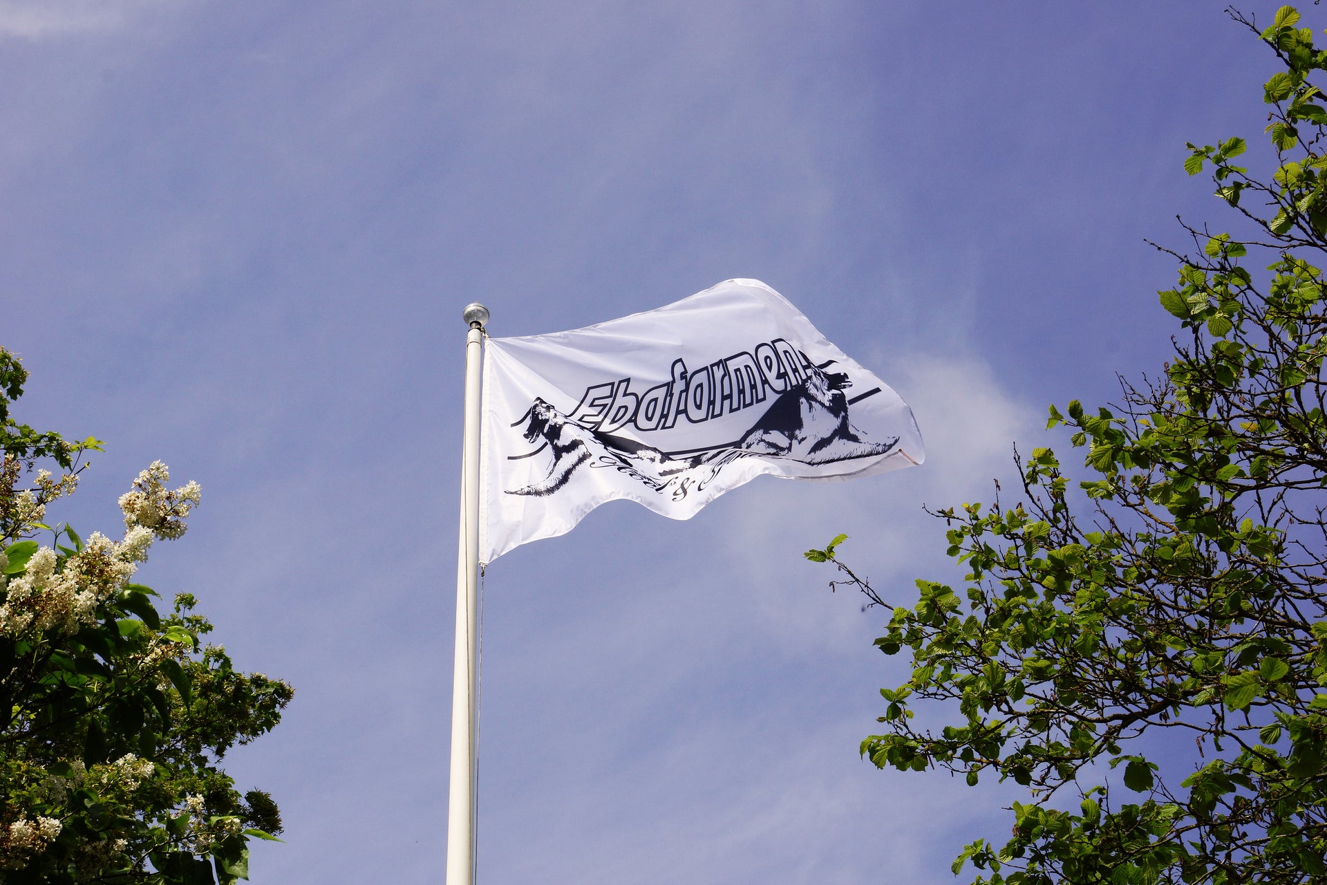 Ebafarmens Flagga